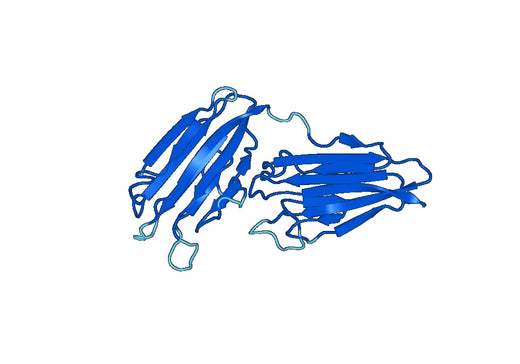 Recombinant Mouse ST14 Protein, N-His