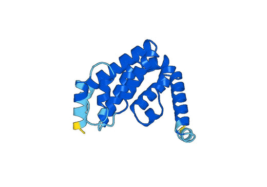 Recombinant Mouse STC2 Protein, N-His