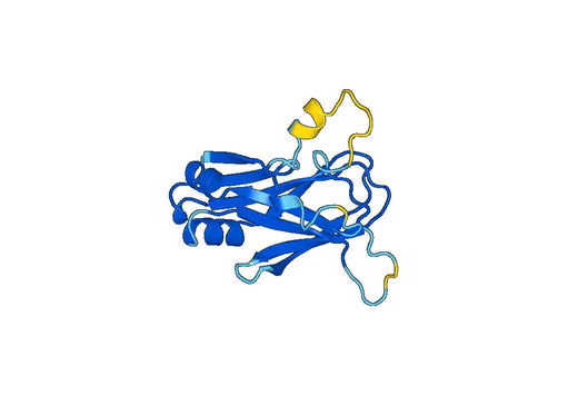 Recombinant Mouse TGFB1/TGF-beta-1 Protein, N-His