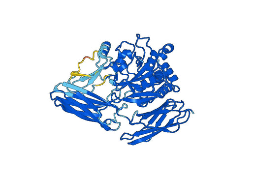 Recombinant Mouse TGM2 Protein, N-His