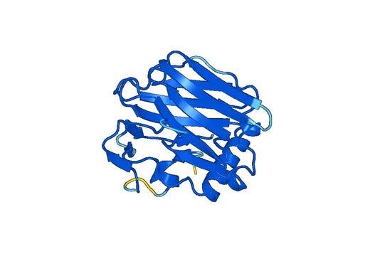 Recombinant Mouse THBS1 Protein, N-His