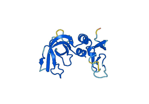 Recombinant Mouse TIMP1 Protein, N-His