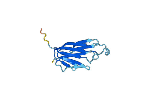 Recombinant Mouse TNFSF18 Protein, N-His