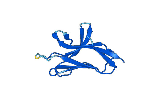 Recombinant Mouse TREML4 Protein, N-His-SUMO