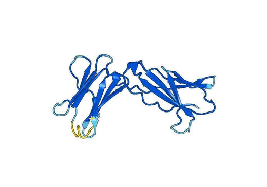 Recombinant Mouse TSLPR/CRLF2 Protein, N-His