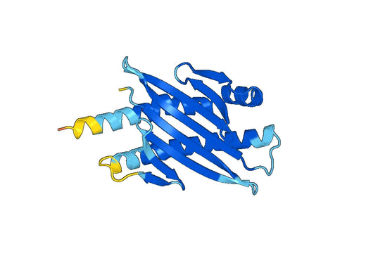 Recombinant Mouse ULBP1 Protein, N-His