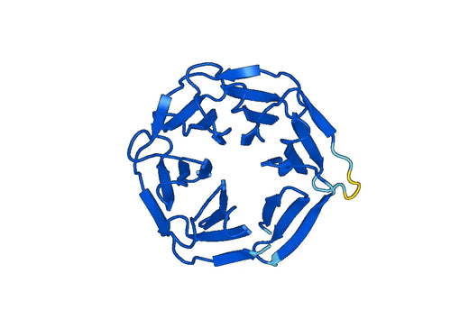 Recombinant Mouse VLDLR Protein, N-His