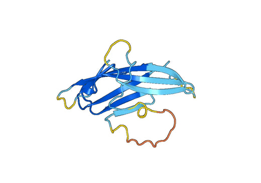 Recombinant Mouse VSIR/VISTA Protein, N-His