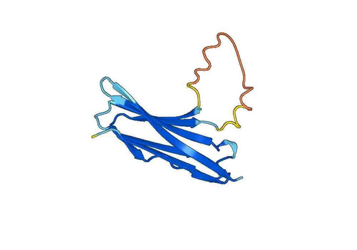 Recombinant Mouse VSTM2A Protein, N-His