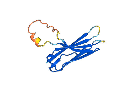 Recombinant Mouse VSTM2B Protein, N-His-SUMO