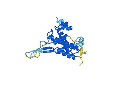 Recombinant Mouse WNT9B Protein, N-His