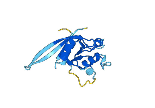 Recombinant Mouse ZNRF3 Protein, N-His