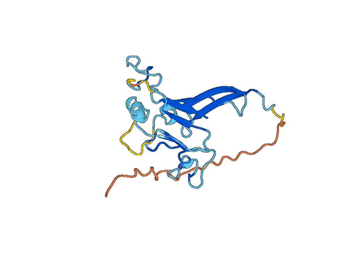 Recombinant Murine leukemia virus Envelope Protein, C-His