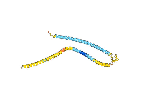 Recombinant Neisseria gonorrhoeae cppB, N-GST