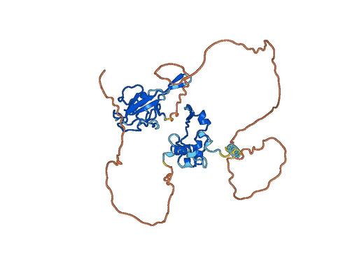 Recombinant PEDV N/Nucleoprotein Protein, C-His