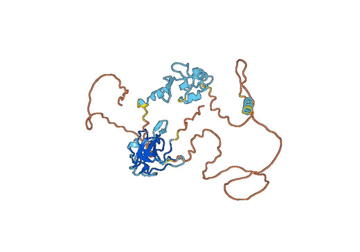 Recombinant PEDV N/Nucleoprotein Protein, N-His & C-His