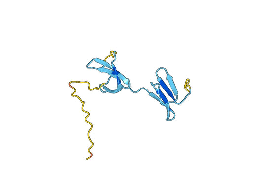 Recombinant PEDV Spike glycoprotein (RBD) Protein, N-His