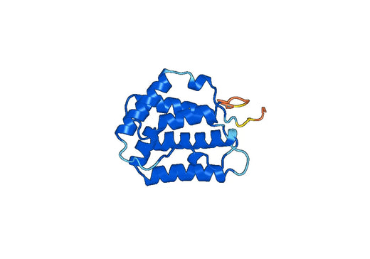 Recombinant Pig IL22 Protein, N-His