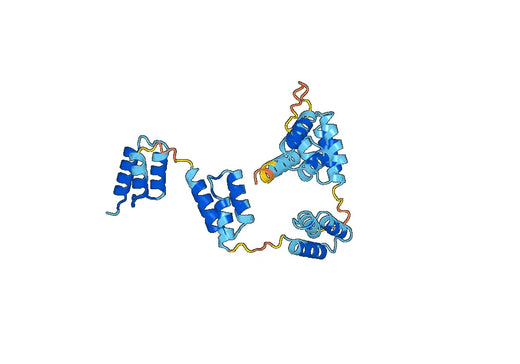 Recombinant Protein A/SPA Protein, C-His