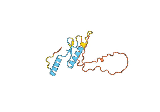 Recombinant PRRSV GP4/Glycoprotein 4 Protein, N-His