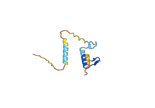Recombinant PRRSV Nucleoprotein Protein, N-His