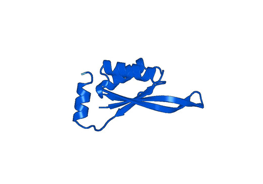 Recombinant Pyrococcus horikoshii cutA, N-His