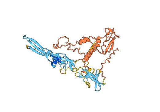 Recombinant Rabies virus/RABV G/Glycoprotein Protein, N-His