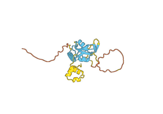 Recombinant Rat SOCS3 Protein, N-His