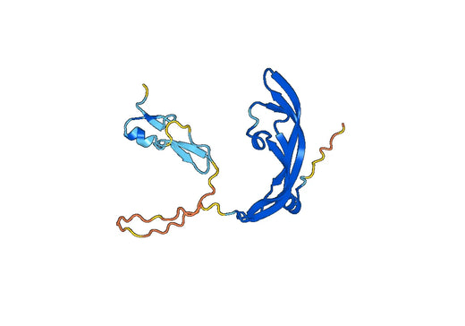 Recombinant Rat VEGFA Protein, N-His