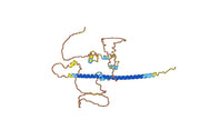 Recombinant Rice ABI5 Protein, N-His