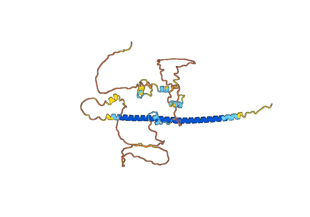 Recombinant Rice ABI5 Protein, N-His