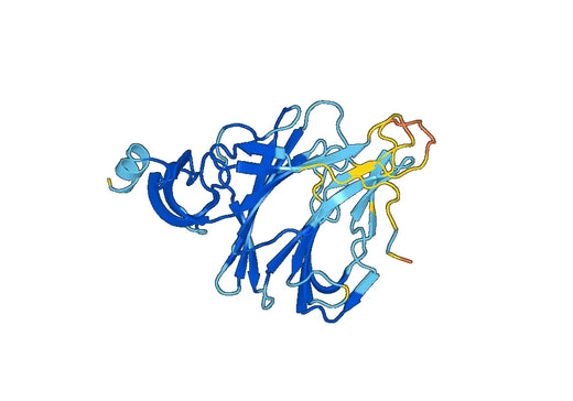 Recombinant SARS-CoV-2 NTD Protein, N-His