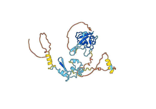 Recombinant TGEV N/Nucleoprotein Protein, N-His