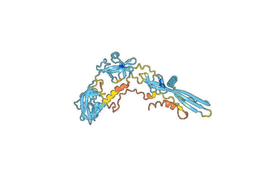 Recombinant VSV G protein/Glycoprotein G Protein, N-His