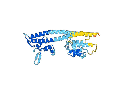 Recombinant Yersinia enterocolitica LcrV/Virulence-associated V antigen Protein, N-His