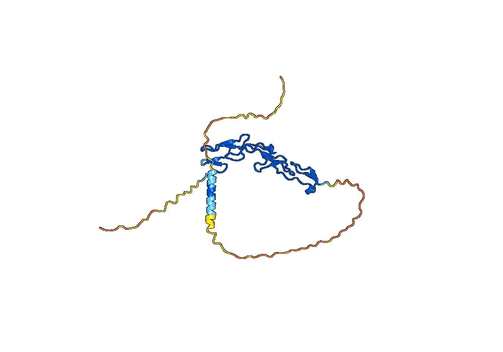 Revdofilimab Biosimilar - Anti-TNFRSF4 mAb - Research Grade