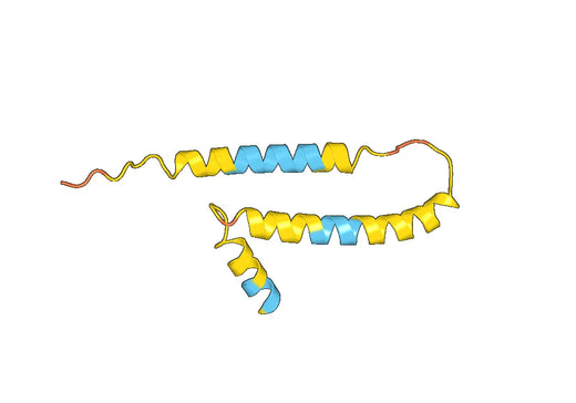 RHD recombinant protein
