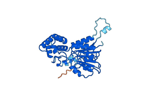 Ribosomal RNA small subunit methyltransferase H(rsmH)
