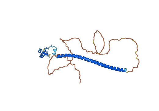 RING finger protein 212B(Rnf212b)