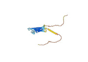 Ripertamab Biosimilar - Anti-MS4A1 mAb - Research Grade
