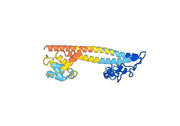 Rivabazumab Biosimilar - Anti-PcrV mAb - Research Grade