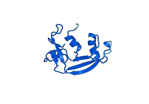 RNASE3, N-His, recombinant protein