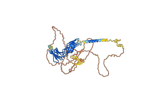 Rolinsatamab ELISA Kit