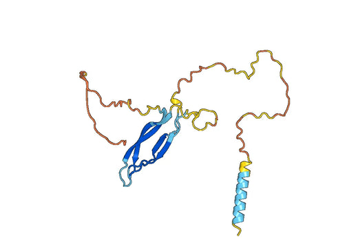 Romosozumab ELISA Kit