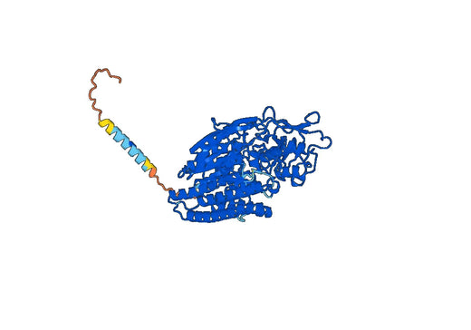 Rosopatamab ELISA Kit