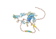 Rovalpituzumab Biosimilar - Anti-DLL3 mAb - Research Grade