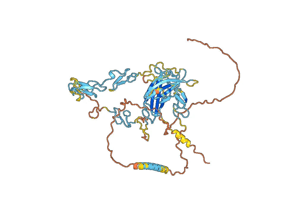 Rovalpituzumab Biosimilar - Anti-DLL3 mAb - Research Grade