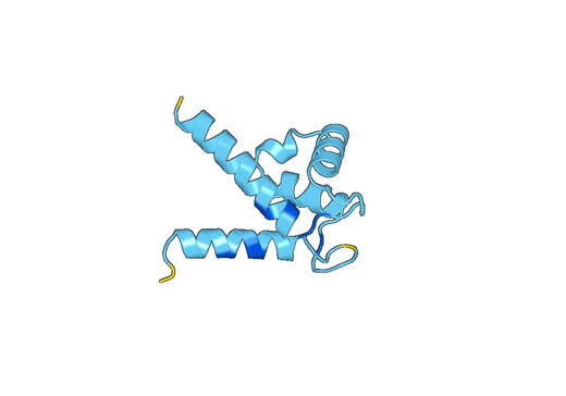 S100A6, N-His, recombinant protein