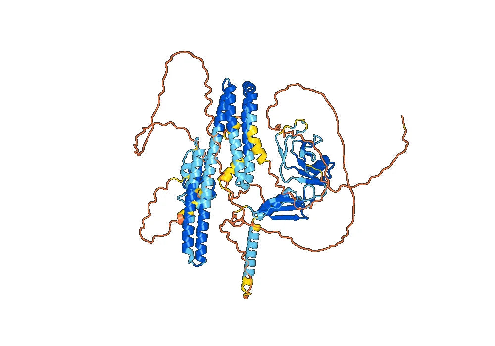 Sabirnetug Biosimilar - Anti-AICD-57 mAb - Research Grade