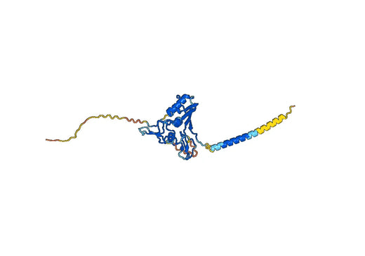 Sacituzumab ELISA Kit